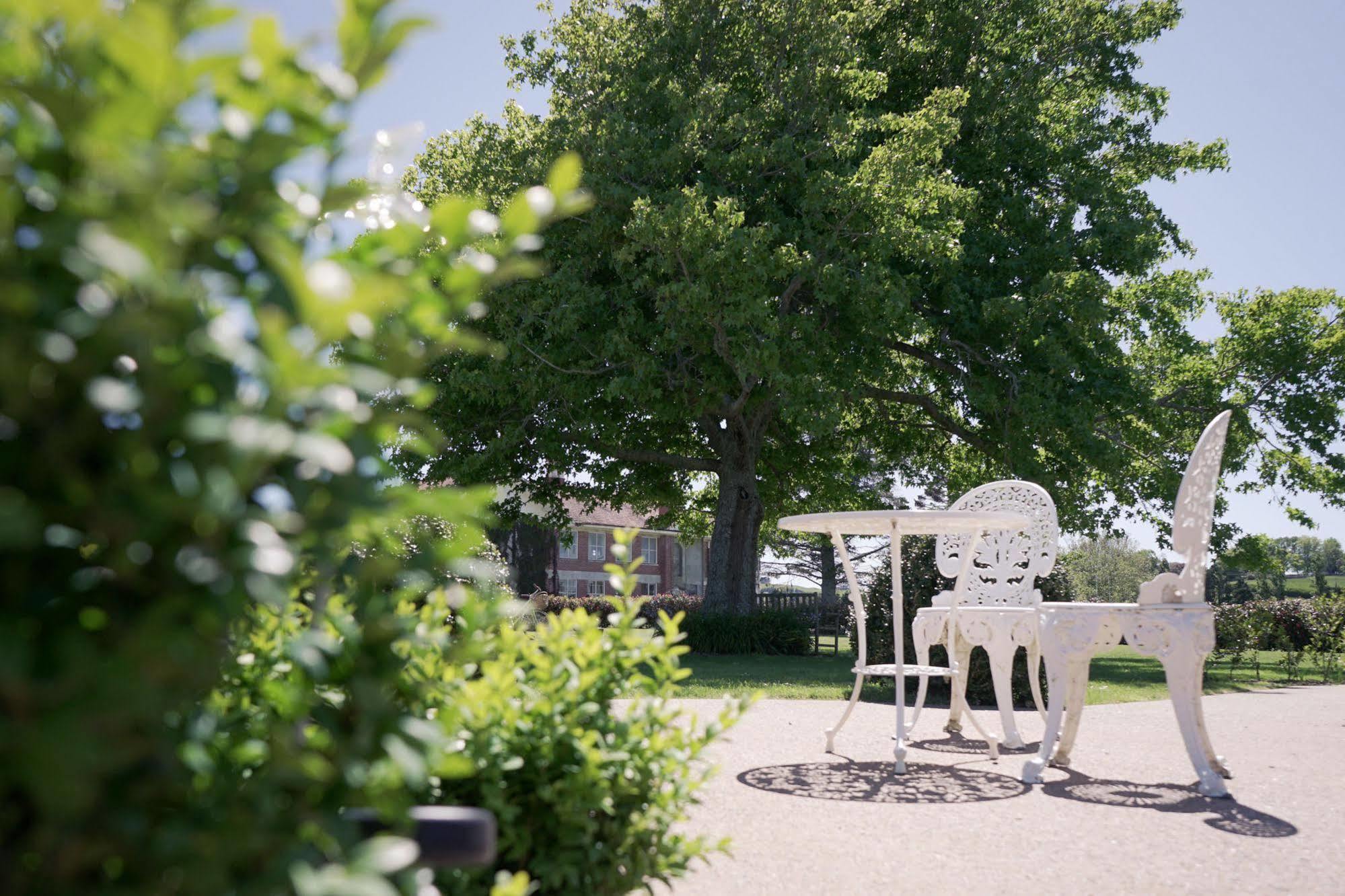 Lavalla Estate Konuk evi Tuakau Dış mekan fotoğraf